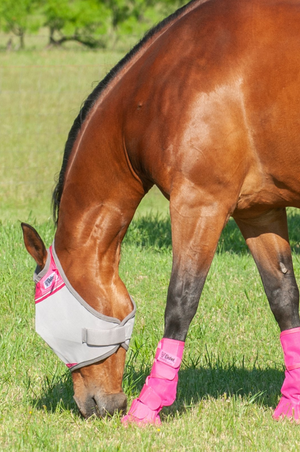 Cashel_Crusader_Standard_Fly_Mask