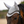 Cavaljetty_Fly_Hood