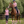 Cavaljoca_Brushing_Boots