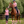 Cavallo_Cavaljodi_Bell_Boots-S26