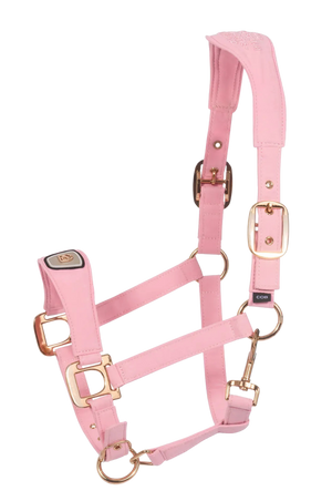 Cavallo_Cavalpawel_Fabric_Halter-S26