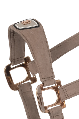 Cavallo_Cavalpawel_Fabric_Halter-S26