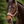 Cavallo_Cavalpawel_Fabric_Halter-S26
