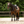 Cavalperla_Fly_Hood-26