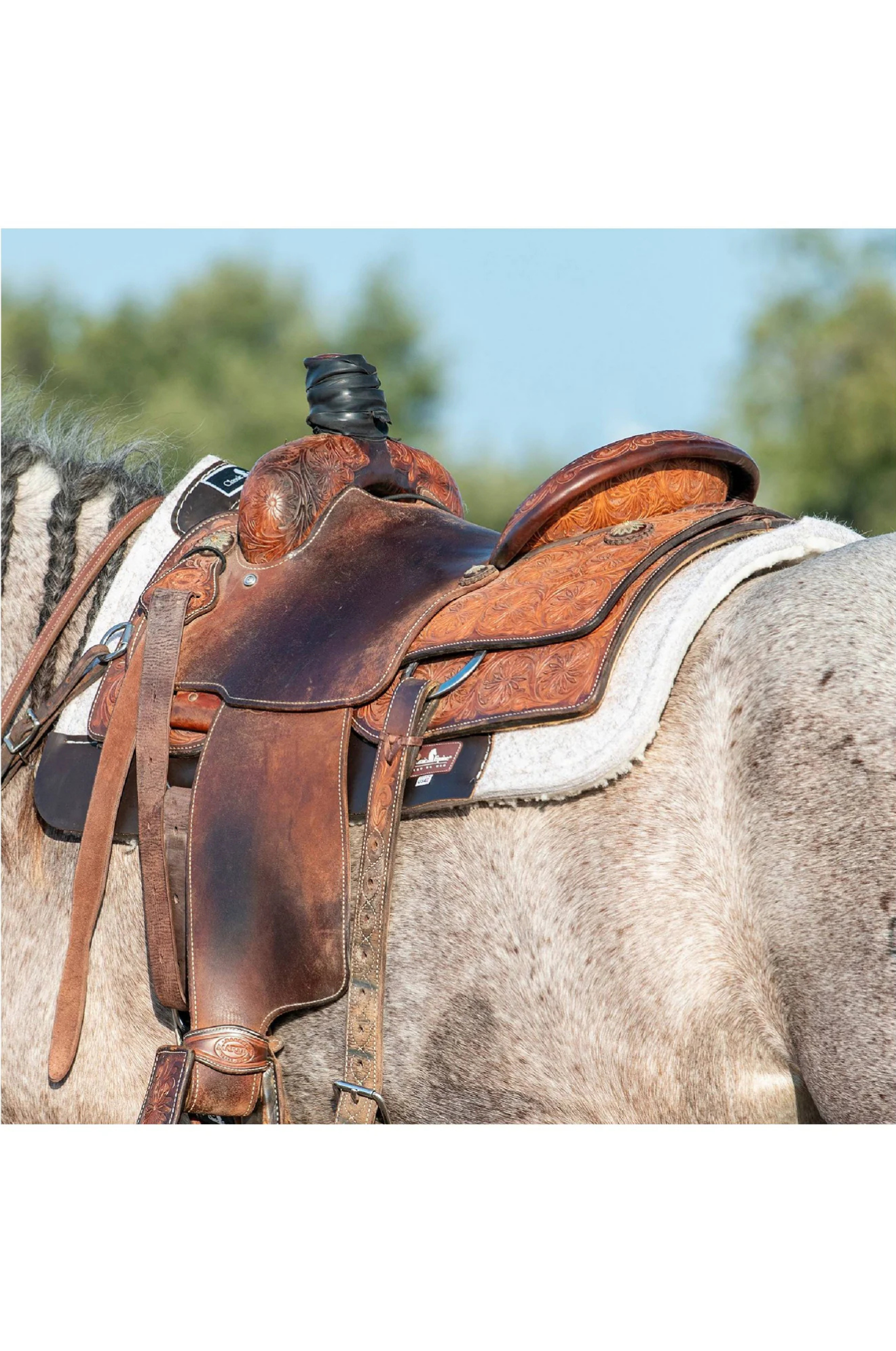 Classic_Equine_Orthopedic_FeltFleece_Pad