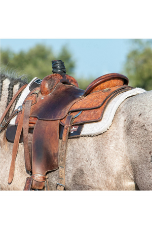Classic_Equine_Orthopedic_FeltFleece_Pad