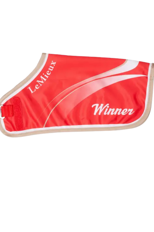 Toy Pony Champions Rug