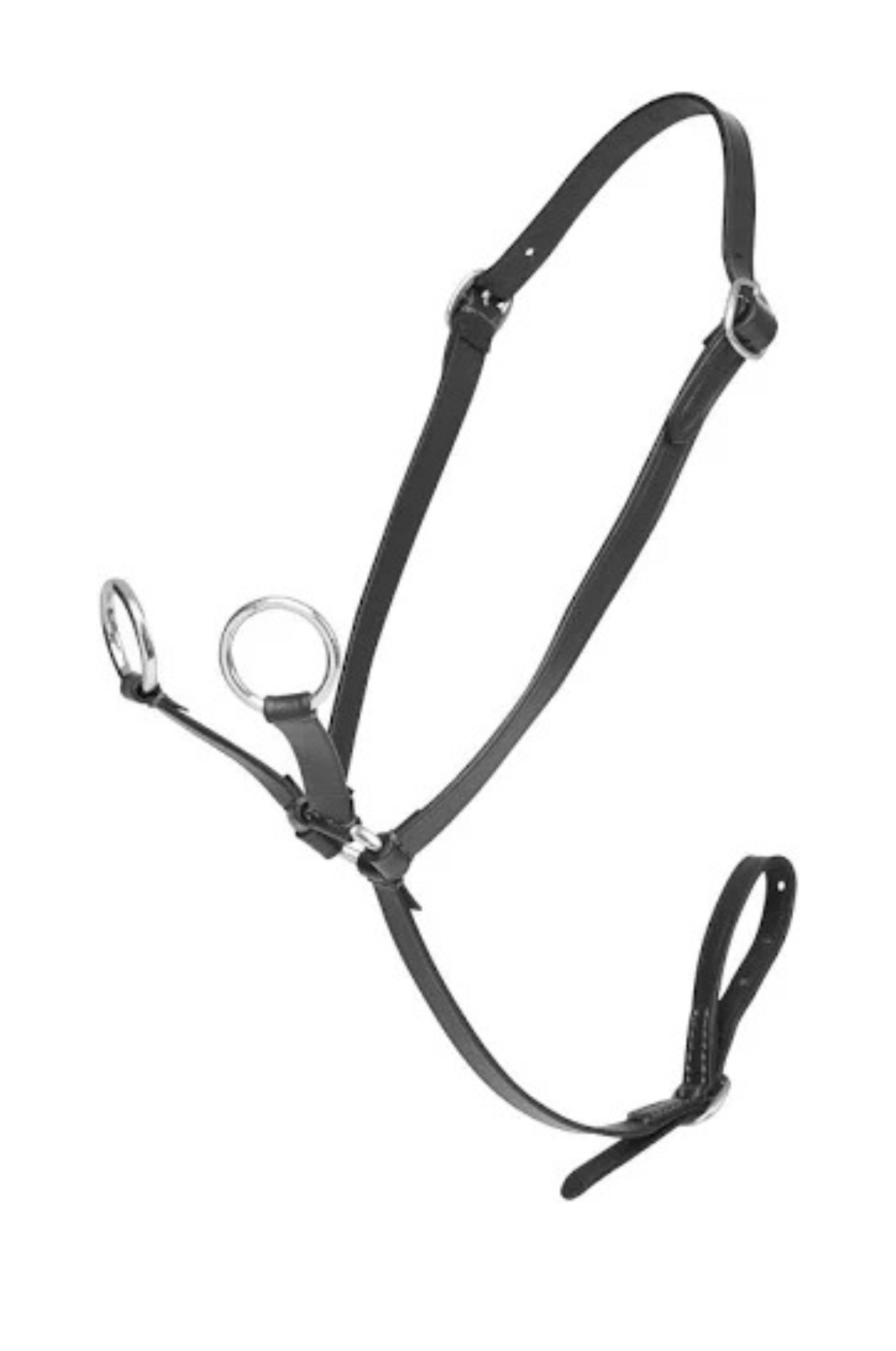 Hobby Horse Running Martingale