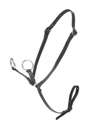 Hobby Horse Running Martingale