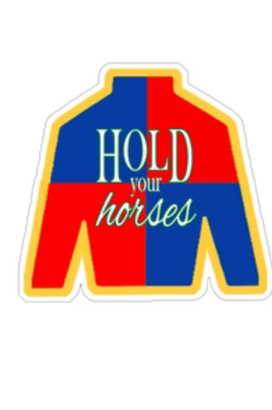 A sticker with a design resembling a horse racing silk with the text 'HOLD your horses'.