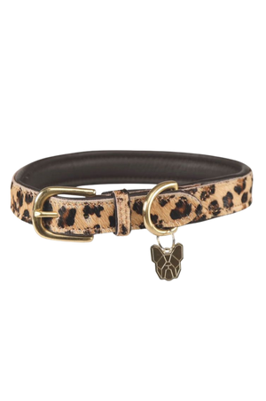 DIGBYFOX_COW_HAIR_COLLARdisc