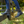 Devon Zip Paddock Boot