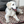 Digby & Fox Dog BedDISC