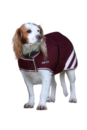 Digby__Fox_Waterproof_Dog_Coat