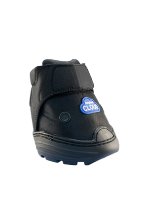 EasyBoot_Cloud