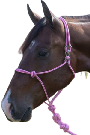 Easy_On_Rope_Halter