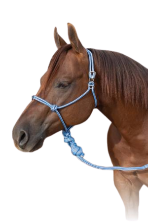 Easy_On_Rope_Halter