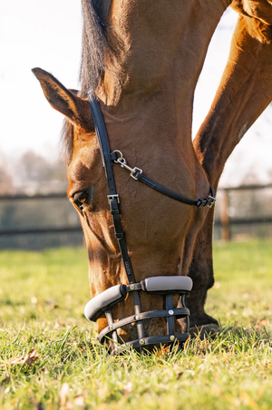 Equest_Slow_Feed_Grazing_Muzzle