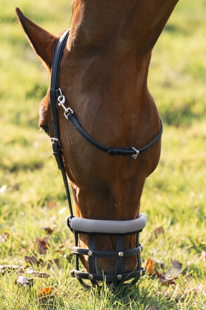 Equest_Slow_Feed_Grazing_Muzzle