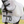 Equinavia_Chill_Summer_Protector_Sheet