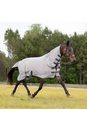 Equinavia_Chill_Summer_Protector_Sheet