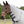 Equinavia_Chill_Summer_Protector_Sheet
