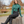 Equinavia_Kirsten_Country_Boots