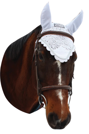 Equine_Couture_Fly_Bonnet-_Silver_Rope