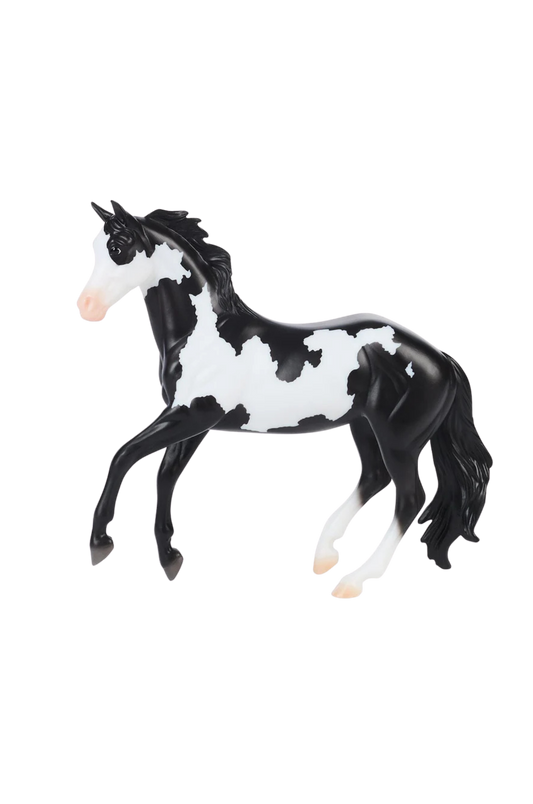 Frame Overo Stock Horse