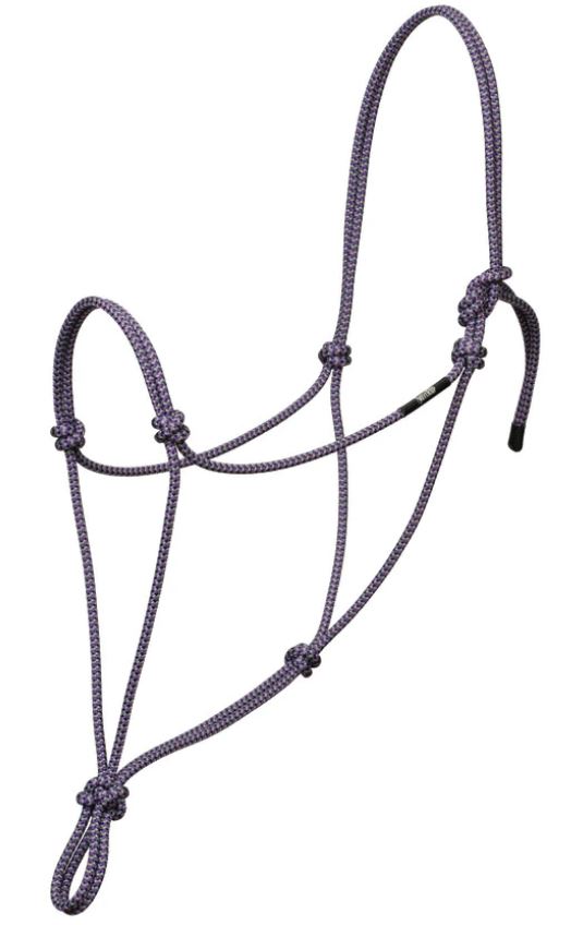Silvertip Big Sky Weanling Halter
