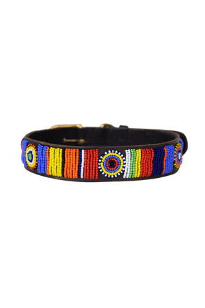 Global_Girls_Dog_Collar