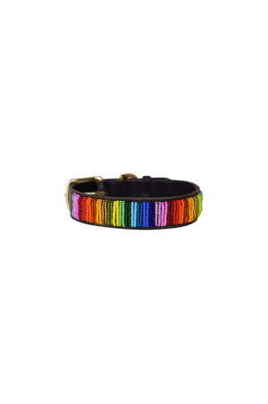 Global_Girls_Dog_Collar