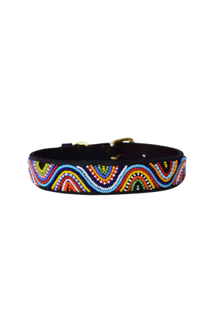 Global_Girls_Dog_Collar