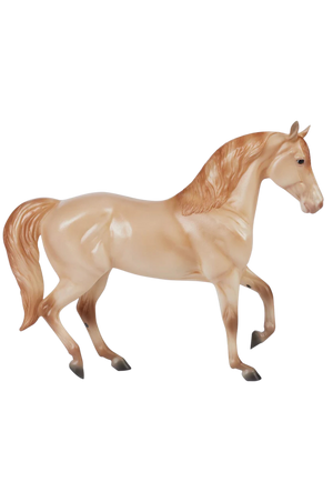 Gold Champagne Quarter Horse Cross