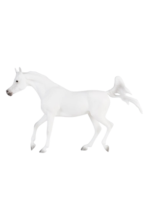 Grey Arabian