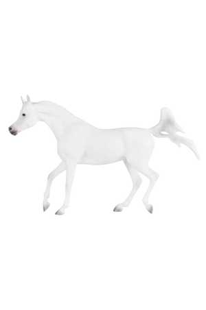 Grey Arabian