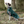 HORZE NOIR DOG H2O COATdisc