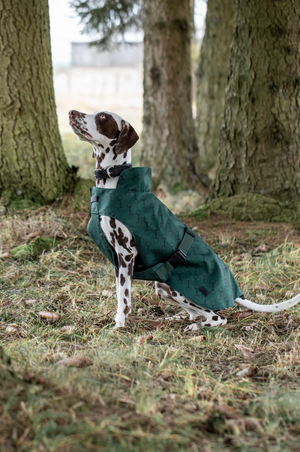 HORZE NOIR DOG H2O COATdisc