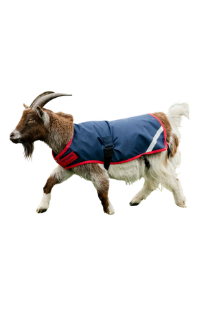 Horseware_Goat_Coat_200g_26