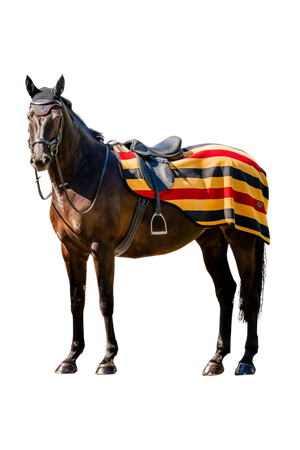 Horseware_Newmarket_Exercise_Sheet_26