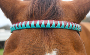 TS Custom Browbands
