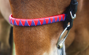 A horse wearing a bridle with a sharkstooth noseband.