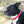 A dog wearing a biothane collar with brass hardware including a buckle and a D-ring.