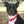 A dog wearing a biothane collar with brass hardware including a buckle and a D-ring.