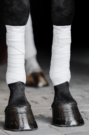 Incrediwear_Equine_Circulation_Exercise_Bandages