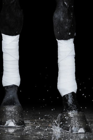 Incrediwear_Equine_Circulation_Exercise_Bandages