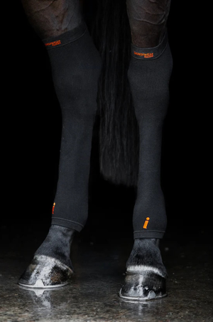Incrediwear_Equine_Circulation_Hock_Sleeve