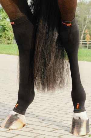 Incrediwear_Equine_Circulation_Hock_Sleeve