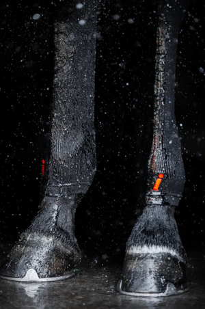 Incrediwear_Equine_Circulation_Hock_Sleeve