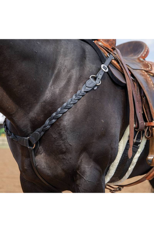 Infinity_Braid_Breast_Collar